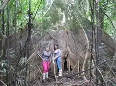 Amazon Eco Tours & Lodge 