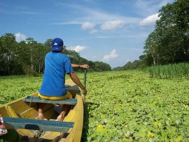 Amazon Eco Tours & Lodge 