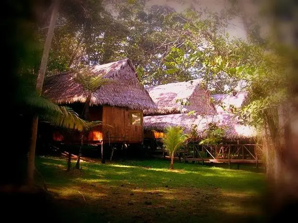 Amazon Eco Tours & Lodge 