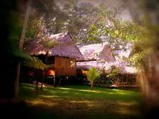 Amazon Eco Tours & Lodge 