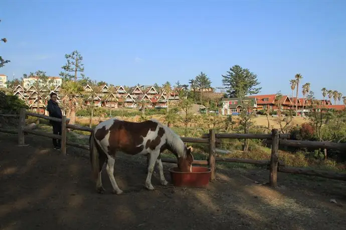 Jungmun Log Pension & Resort 