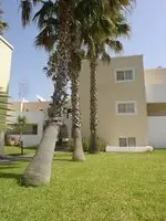 Andromeda Hotel Apartments Kos Island 