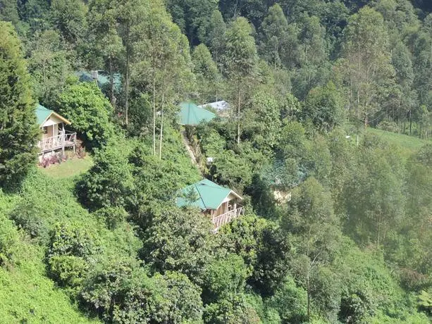 Gorilla Safari Lodge