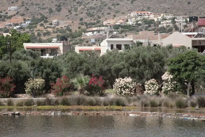 Elounda Olive Garden Apts & Studios 