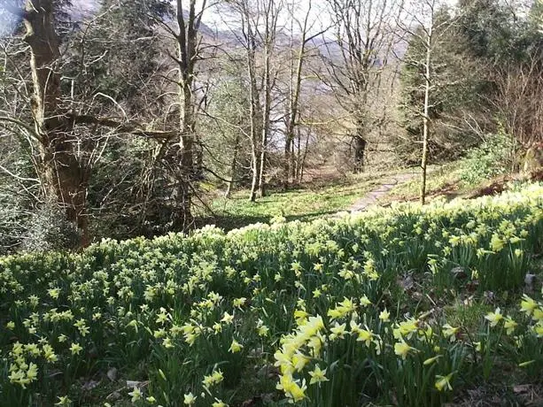 Rydal Lodge Country House B & B 