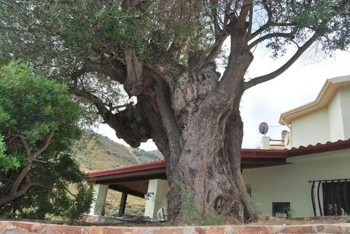 Villa Mariposa Budoni 