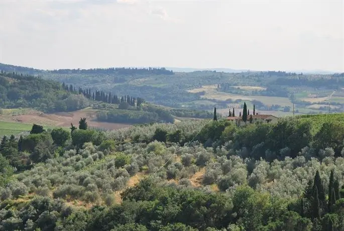 Le Valli Lavanda 