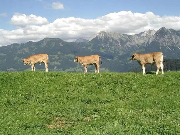 Haus Alpenblick Obermaiselstein 