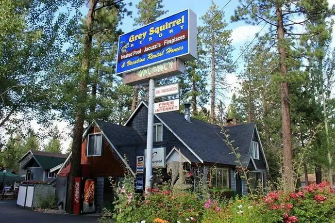 Grey Squirrel Resort