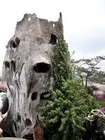 Crazy House Da Lat 