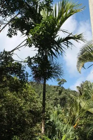 Whitsundays Rainforest Retreat 