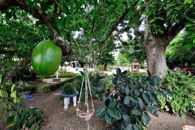 Sana El Jardin Secreto 