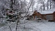 La Casa del Arbol Villarrica 