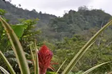 Corredores del Pacuare 