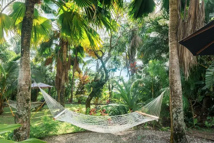 Rarotonga Daydreamer Resort 