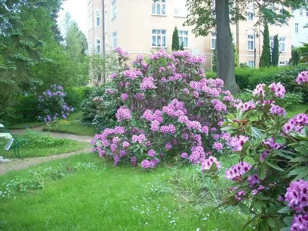 Kurheim Haus Linde 