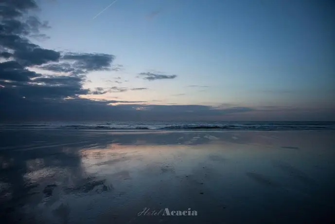 Hotel Acacia Blankenberge 