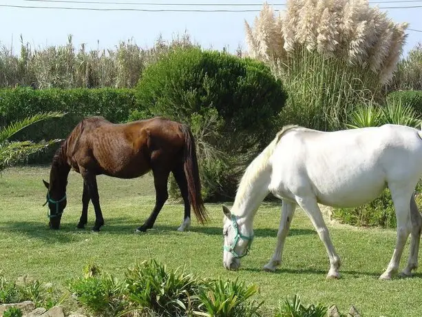 Quinta Beira-Mar 