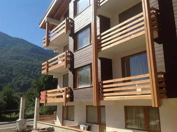 Ski Studio Apartments 