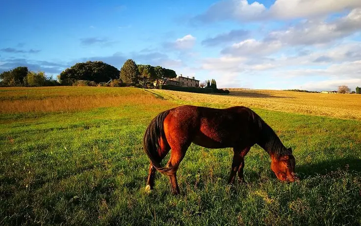 Agriturismo Casale Dei Frontini 