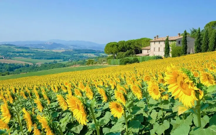 Agriturismo Casale Dei Frontini 