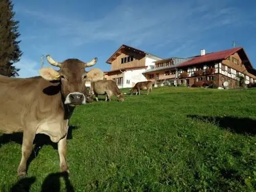 Bio-Bergbauernhof Jack