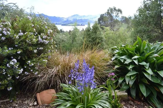 Treetops B&B Dunedin 