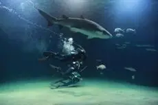 L'Oceanografic 