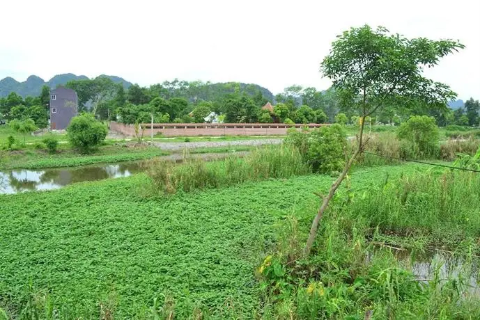 Tuan Ngoc Hotel Ninh Binh 