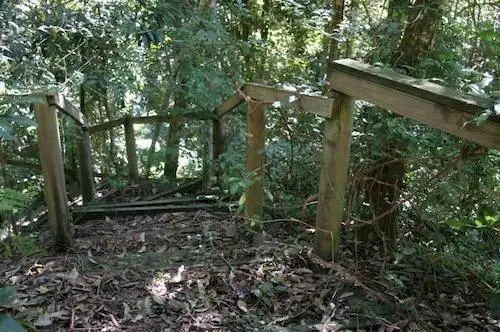 Lyola Pavilions in the Forest