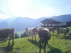 Gastehaus Brugger Hainzenberg 