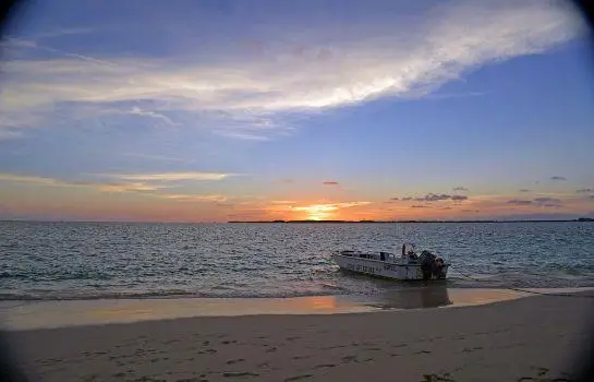 Bohio Dive Resort 