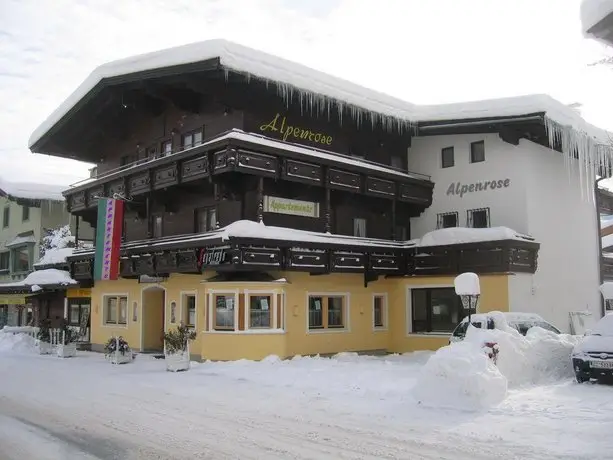 Apartments Alpenrose Kirchberg in Tirol 