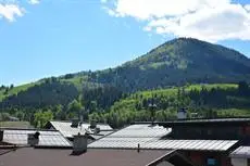 Apartments Alpenrose Kirchberg in Tirol 