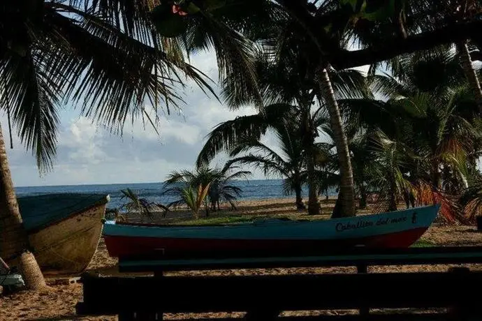 El Nido de Las Ballenas 