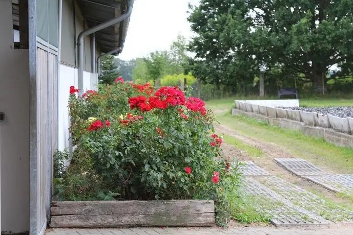 Ferienwohnungen In den Wiesen Oranienburg 