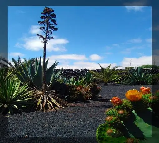 Kalindi Lanzarote 