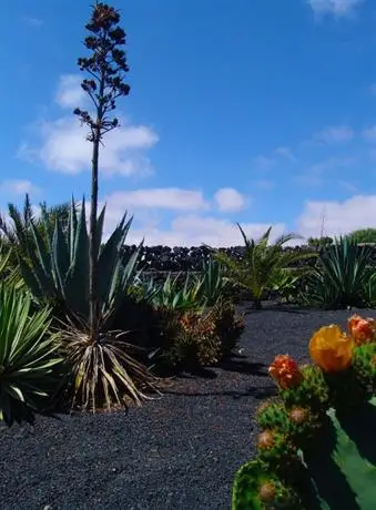 Kalindi Lanzarote 