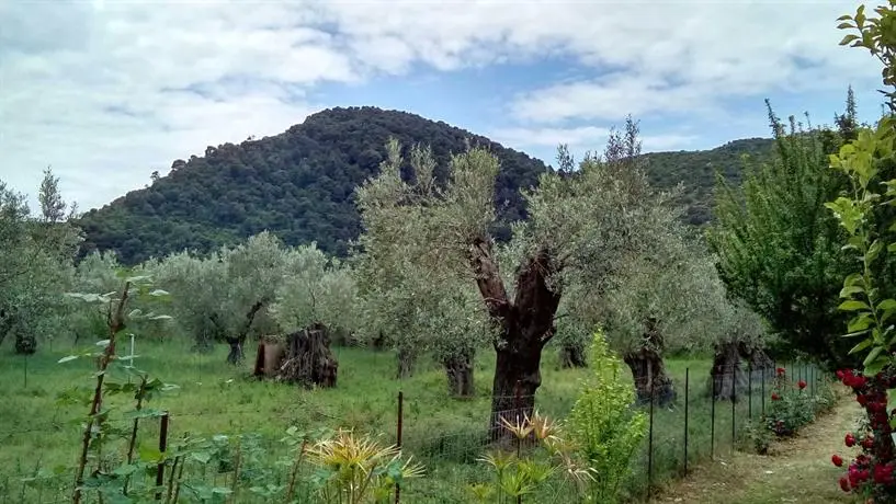 Agravlis Country House Skopelos 