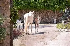 Hotel Palomino Ranch 