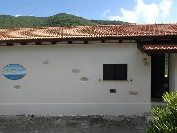 B&B Villa Mare e Ulivi