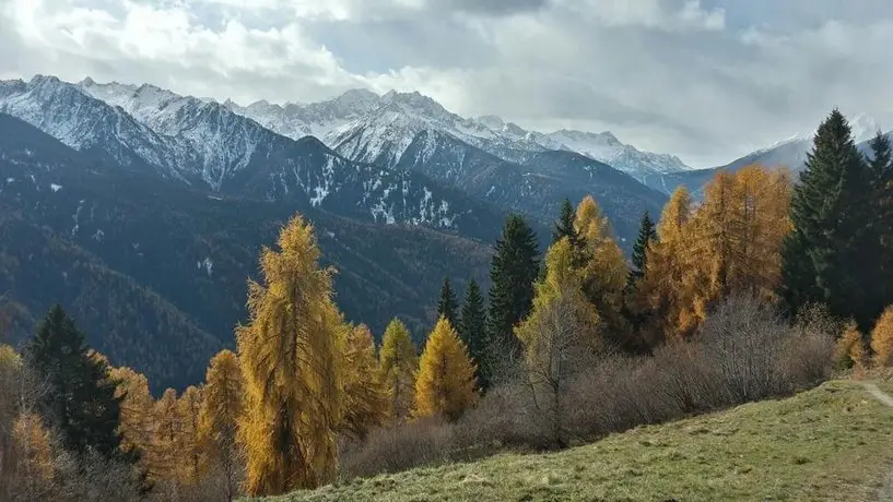 Maso Val di Sole