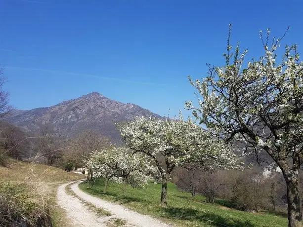 Agriturismo San Lorenzo di Persegno 