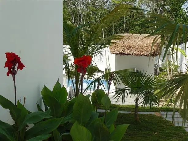 Residence Robinson Tulum 