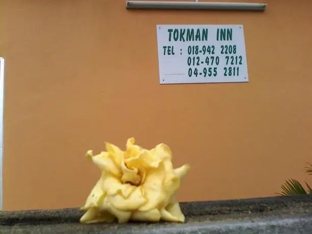 Tokman Inn 