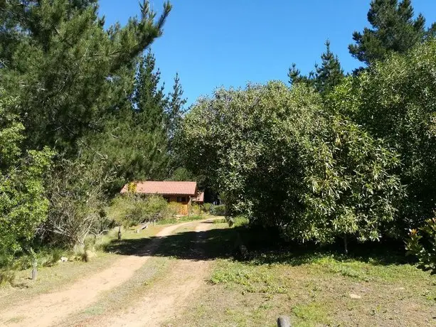 Eco Cabanas Algarrobo