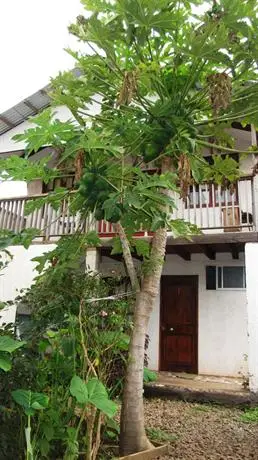 Rapa Nui Native Hostel