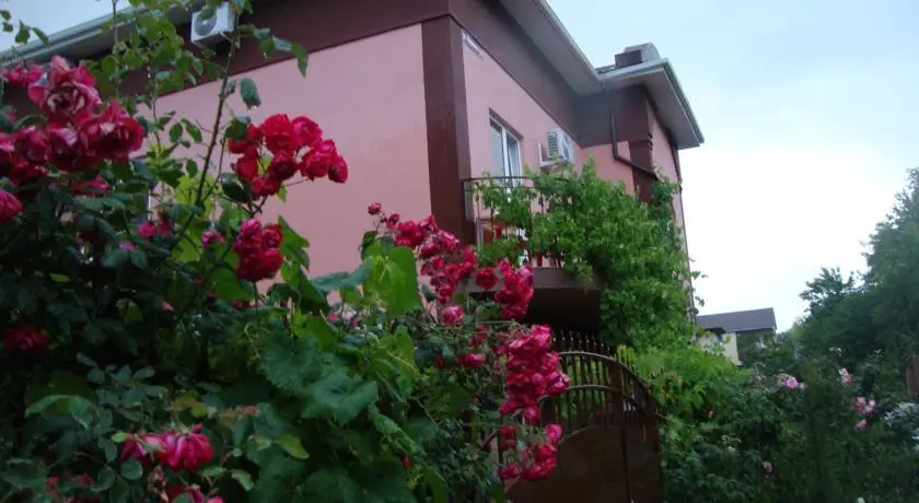 Divnomorye Guest House