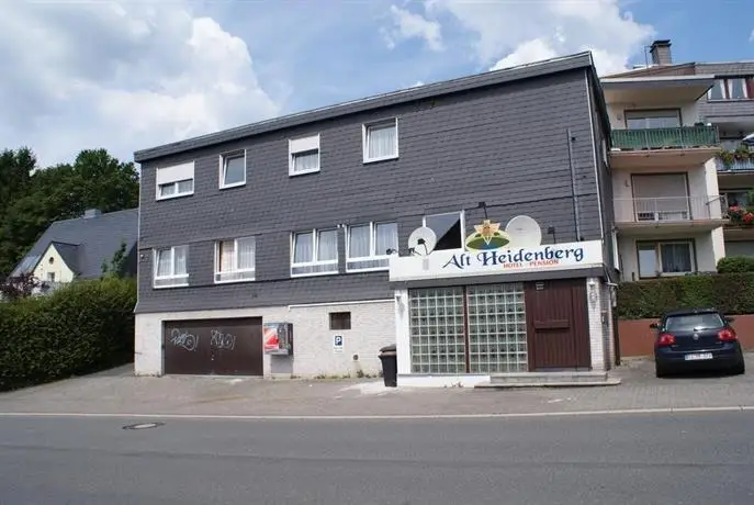 Hotel-Pension Alt-Heidenberg