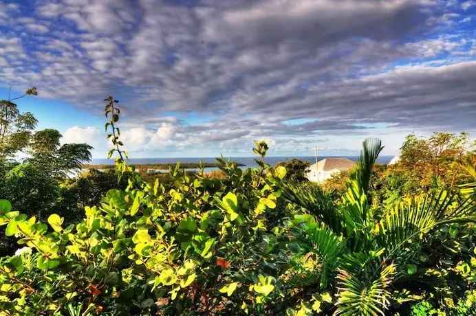 Villa Allamanda Eleuthera 